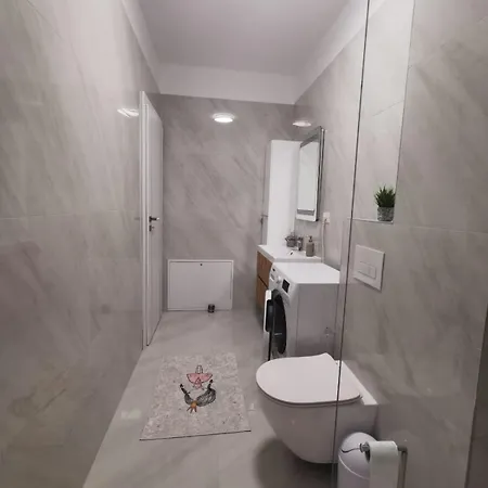 Apartment Apartament Cu Doua De Lux *